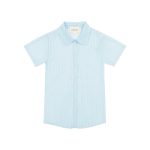 organza blue