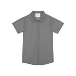 organza grey